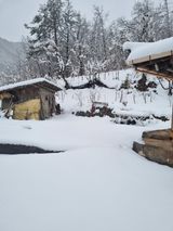 팜모닝 자유주제·자유게시판 게시글 이미지