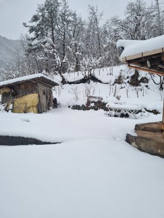 이상응님의 자유주제 · 자유게시판 작성글 사진