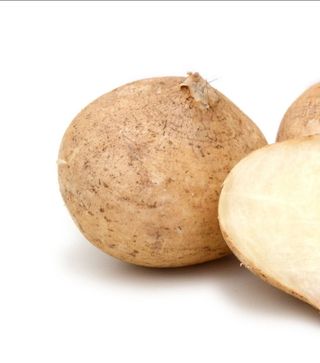 대산농사대장님의 감자 · 자유게시판 작성글 사진