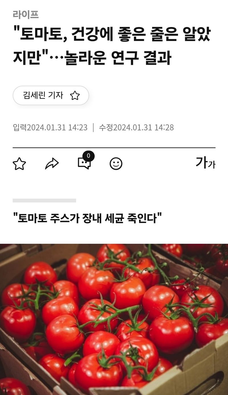 김지연님의 장터 판매 상품 [짭짤이토마토 홍과 2.5kg] 첨부 사진