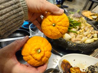 새달귤농장님의 자유주제 · 자유게시판 작성글 사진