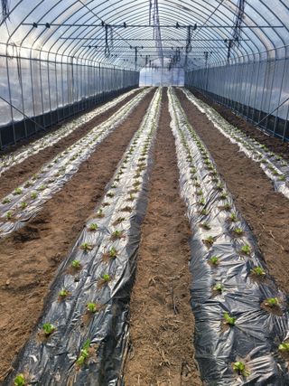 최창남님의 자유주제 · 자유게시판 작성글 사진