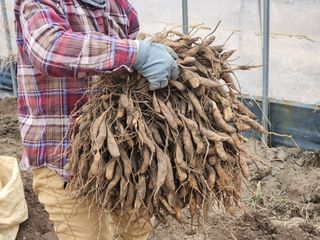 이창신님의 자유주제 · 자유게시판 작성글 사진