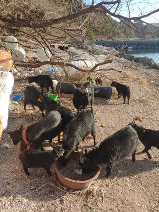 나들나들님의 작성글 사진