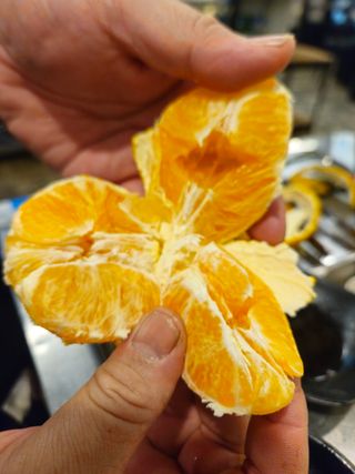 새달귤농장님의 자유주제 · 자유게시판 작성글 사진