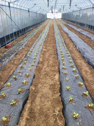 최창남님의 자유주제 · 자유게시판 작성글 사진