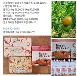 팜모닝 · 게시글 이미지