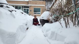 대두콩ㆍ고추 허진님의 자유주제 · 사진전 작성글 사진