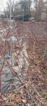 팜모닝 · 게시글 이미지