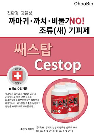 오호Ohoo님의 작성글 사진