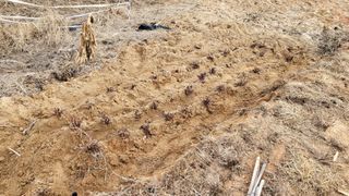 조미숙님의 3월 농사 계획 공유해요 · 참여글 작성글 사진