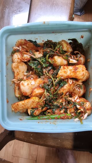 김지철님의 자유주제 · 자유게시판 작성글 사진