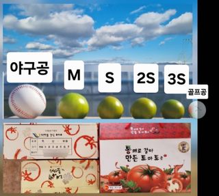 김지연님의 작성글 사진