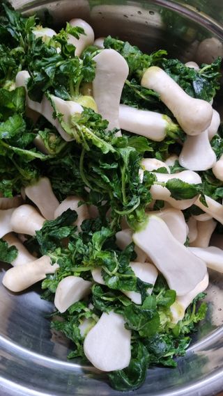 김지철님의 자유주제 · 자유게시판 작성글 사진