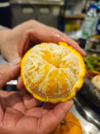 새달귤농장님의 자유주제 · 자유게시판 작성글 사진