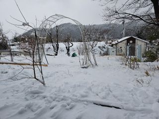 최만재님의 자유주제 · 자유게시판 작성글 사진