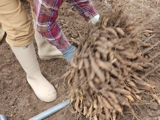 이창신님의 자유주제 · 자유게시판 작성글 사진
