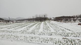 정광화님의 3월 농사 계획 공유해요 · 참여글 작성글 사진