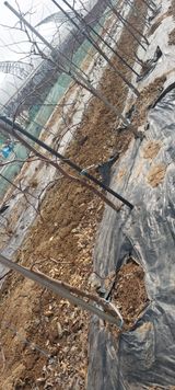 팜모닝 · 게시글 이미지