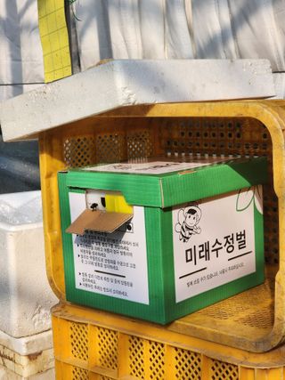 김지연님의 작성글 사진