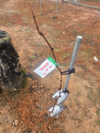 자연인님의 자유주제 · 자유게시판 작성글 사진