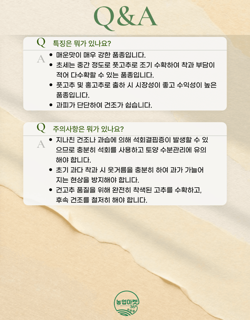 농업마켓365님의 장터 판매 상품 [농업마켓365 아시아종묘 고추 신와매워 30립 풋고추 홍고추] 첨부 사진