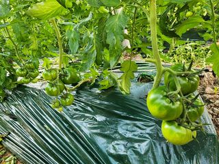 김지연님의 작성글 사진