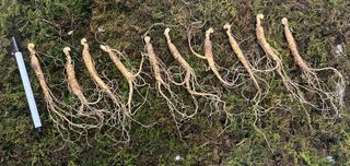 진상빈님의 작성글 사진