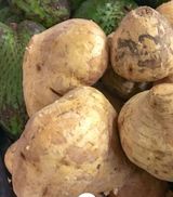 대산농사대장님의 감자·자유게시판 작성글 사진