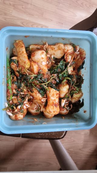 김지철님의 자유주제 · 자유게시판 작성글 사진