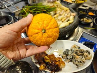 새달귤농장님의 자유주제 · 자유게시판 작성글 사진