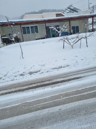 김용대님의 자유주제 · 자유게시판 작성글 사진