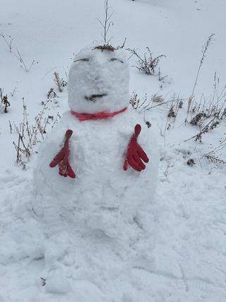 호랑이와인성이님의 3월 농사 계획 공유해요 · 참여글 작성글 사진