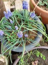 팜모닝 자유주제·자유게시판 게시글 이미지