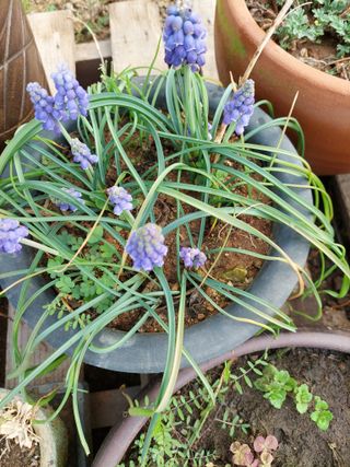 재연농장님의 자유주제 · 자유게시판 작성글 사진