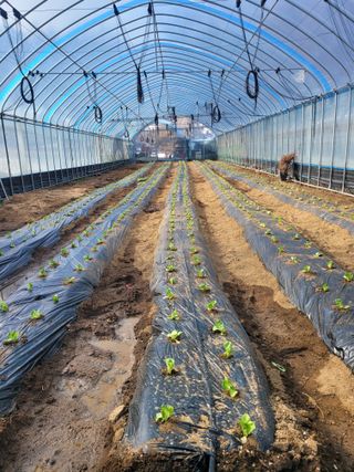 최창남님의 자유주제 · 자유게시판 작성글 사진