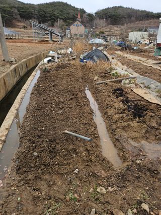 왜목 김진규님의 3월 농사 계획 공유해요 · 참여글 작성글 사진