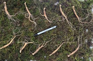 진상빈님의 작성글 사진