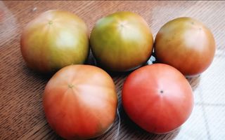 김지연님의 작성글 사진