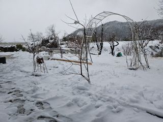 최만재님의 자유주제 · 자유게시판 작성글 사진