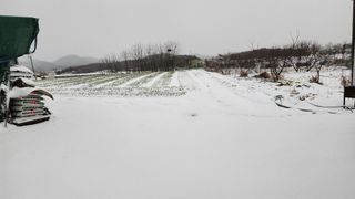 정광화님의 3월 농사 계획 공유해요 · 참여글 작성글 사진