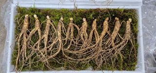 스마일님의 작성글 사진