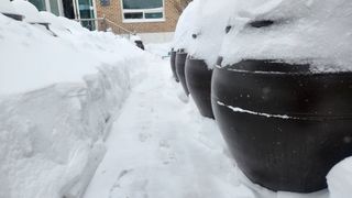 대두콩ㆍ고추 허진님의 자유주제 · 사진전 작성글 사진