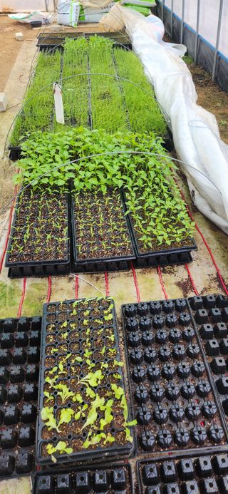 하은와송~♡♡♡~님의 자유주제 · 자유게시판 작성글 사진