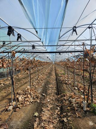 조영태님의 3월 농사 계획 공유해요 · 참여글 작성글 사진
