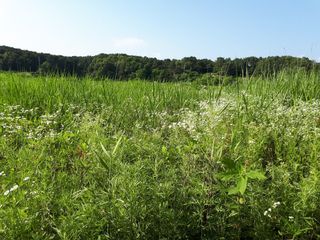 김제선:양평읍회현리님의 3월 농사 계획 공유해요 · 참여글 작성글 사진