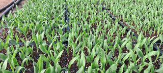 정선문님의 3월 농사 계획 공유해요 · 참여글 작성글 사진