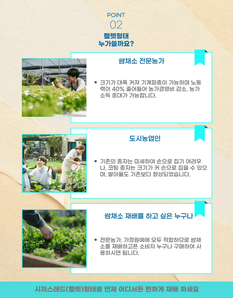 농업마켓365님의 장터 판매 상품 [아시아종묘 상추 슈퍼시저스레드(펠렛) 300립 씨앗 종자 종묘 펠렛형태 로메인상추] 첨부 사진