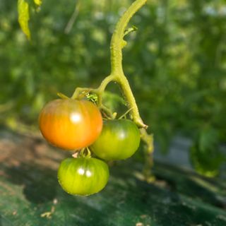 김지연님의 작성글 사진