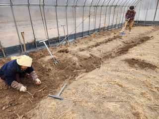 이창신님의 자유주제 · 자유게시판 작성글 사진